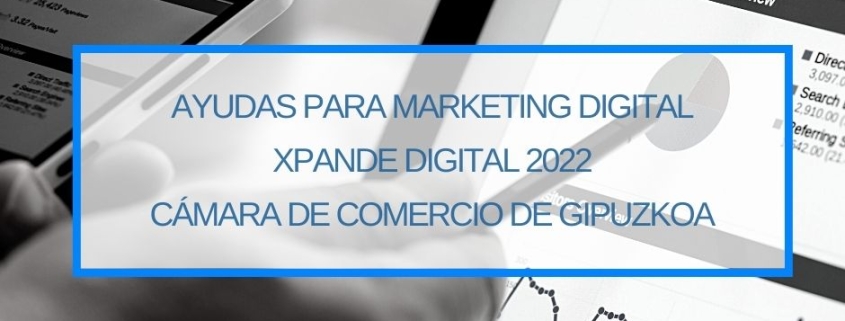Ayudas para Marketing Digital Xpande Digital 2022 Camara de Comercio de Gipuzkoa Thinknnova Asesoria Subvenciones Donostia San Sebastian
