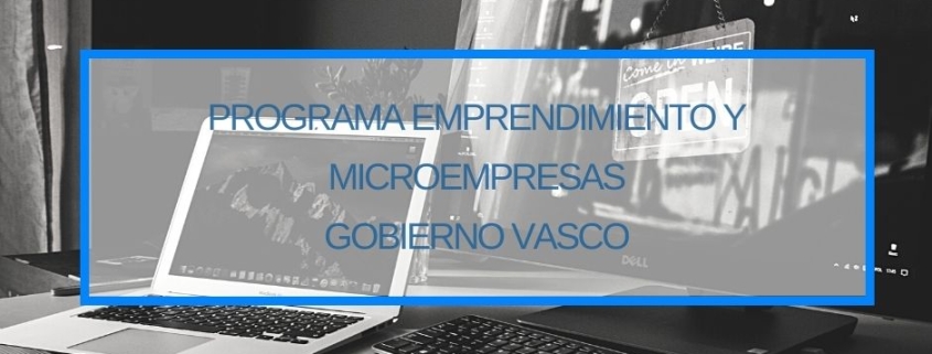 Programa Emprendimiento y Microempresas 2022 Thinknnova Asesoria Subvenciones Ayudas Lanbide Gobierno Vasco Donostia San Sebastian