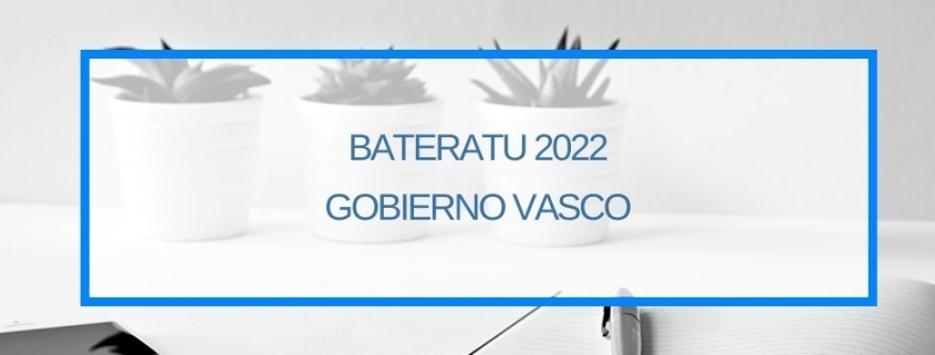 Bateratu 2022 Ayudas para la consolidación de empresas COVID-19 Gobierno Vasco Thinknnova Empresa especializada en Subvenciones Donostia San Sebastian Gipuzkoa