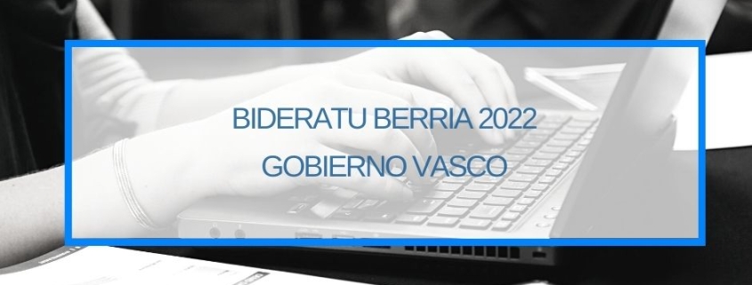 Bideratu Berria 2022 Ayudas a la Reestructuración y Relanzamiento de Empresas en Crisis Gobierno Vasco Thinknnova Gipuzkoa