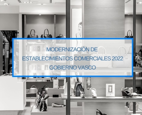 Ayuda para la Modernizacion de Establecimientos Comerciales 2022 Gobierno Vasco Thinknnova Asesoria Especializada en Subvenciones para Empresas Gipuzkoa