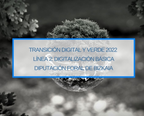Transicion Digital y Verde 2022 Linea 2 Digitalizacion Basica Diputacion Foral de Bizkaia Subvenciones para Empresas Thinknnova Asesoria Integral