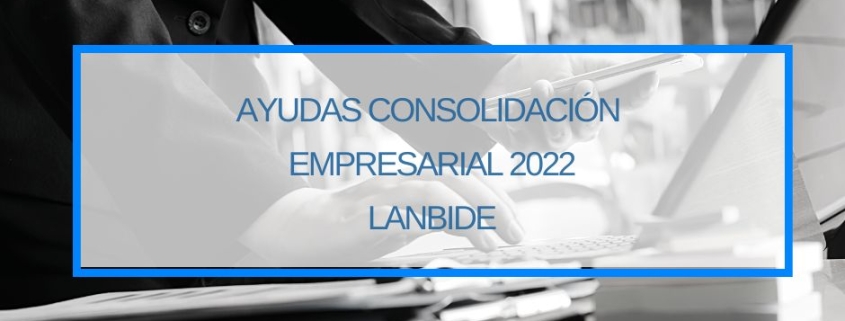 Ayudas Consolidación Empresarial 2022 Lanbide Thinknnova Asesoria Gestion de Subvenciones Donostia San Sebastian Gipuzkoa